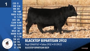 Lot #1 - BLACKTOP BIPARTISAN 2932