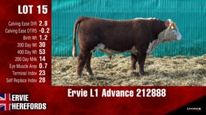 Lot #15 - Ervie L1 Advance 212888