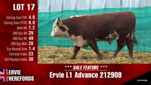 Lot #17 - Ervie L1 Advance 212909