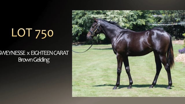 Lot 750