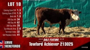 Lot #18 - Towford Achiever 213025