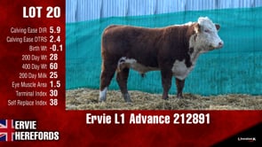 Lot #20 - Ervie L1 Advance 212891