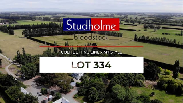 Lot 334