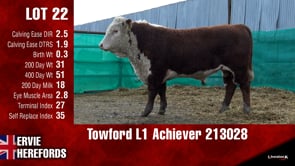 Lot #22 - Towford L1 Achiever 213028