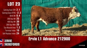 Lot #23 - Ervie L1 Advance 212900