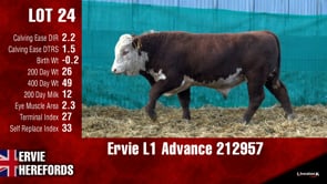 Lot #24 - Ervie L1 Advance 212957