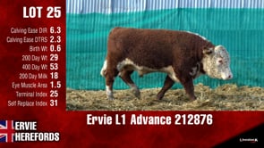 Lot #25 - Ervie L1 Advance 212876