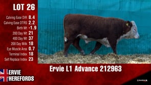 Lot #26 - Ervie L1 Advance 212963