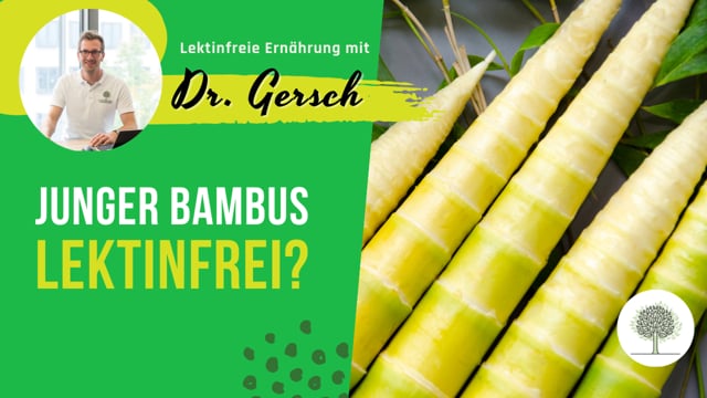 Ist junger Bambus lektinfrei?