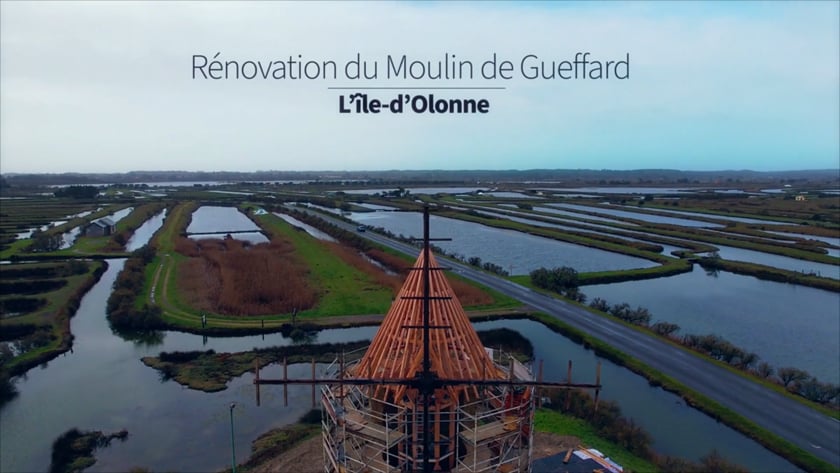 vimeo-video-thumbnail