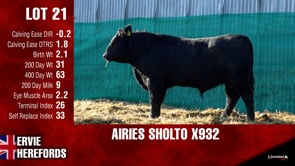 Lot #21 - OUT - - -  AIRIES SHOLTO X932