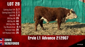 Lot #28 - Ervie L1 Advance 212907