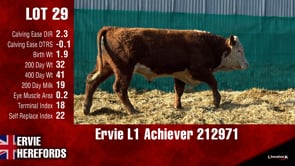 Lot #29 - Ervie L1 Achiever 212971