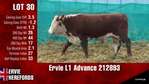 Lot #30 - Ervie L1 Advance 212893