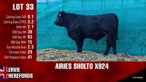 Lot #33 - AIRIES SHOLTO X924
