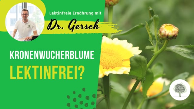 Ist die Kronenwucherblume lektinefrei?