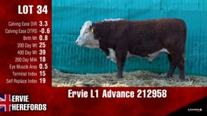 Lot #34 - Ervie L1 Advance 212958