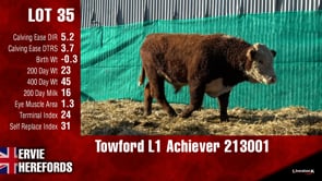 Lot #35 - Towford L1 Achiever 213001