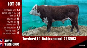 Lot #38 - Towford L1 Achievement 213003