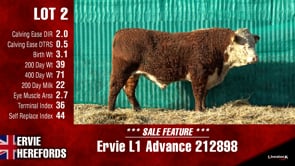 Lot #2 - Ervie L1 Advance 212898