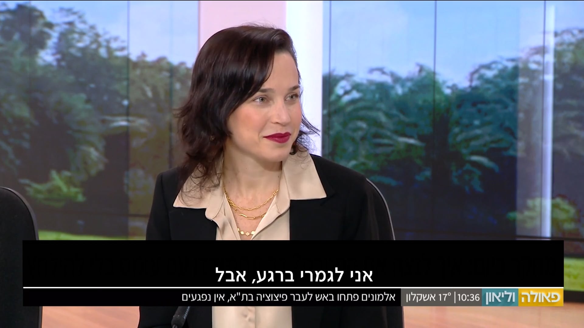 פאולה וליאון - מולטיטסקינג