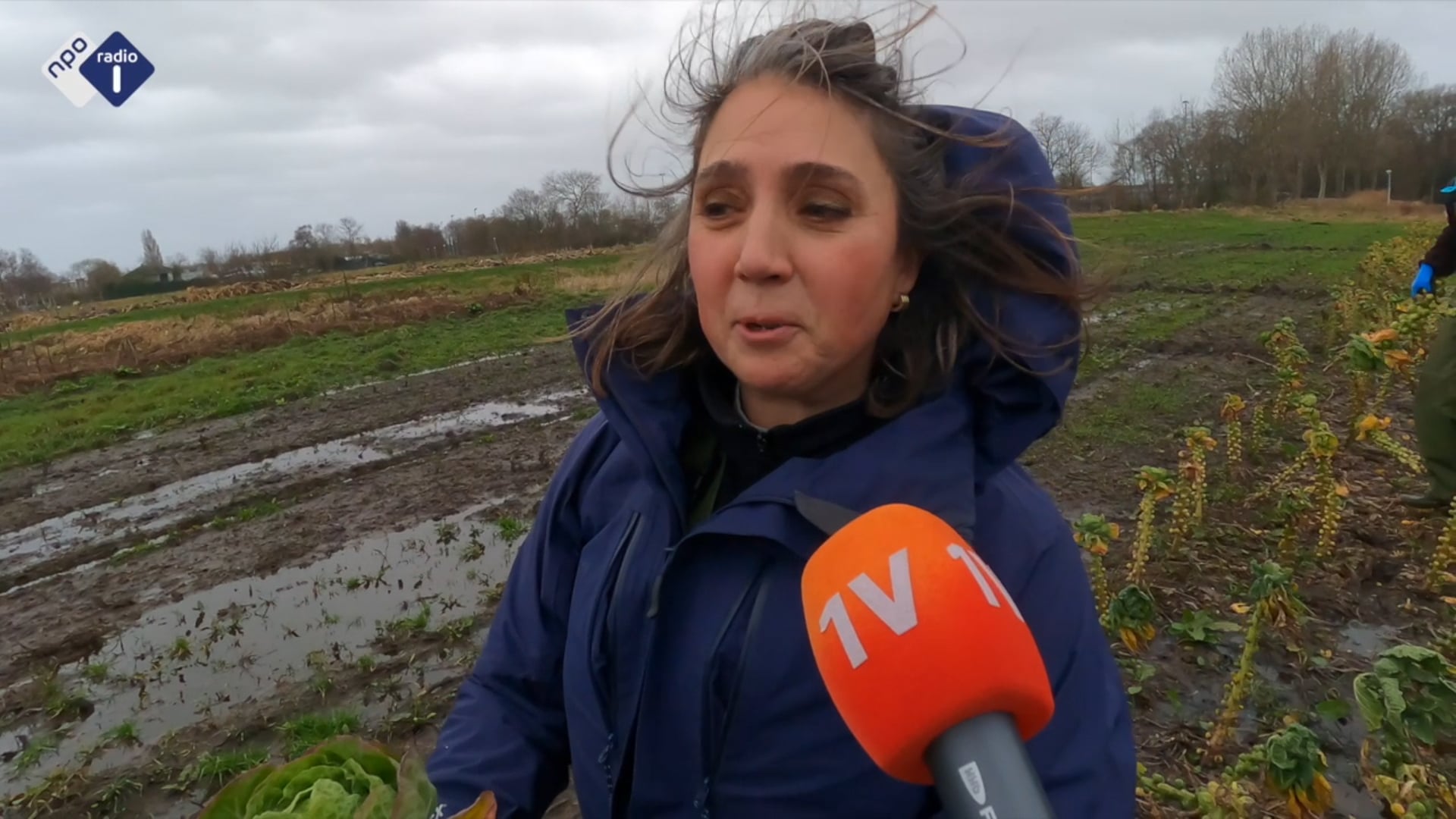 Herenboerderij Heemstede