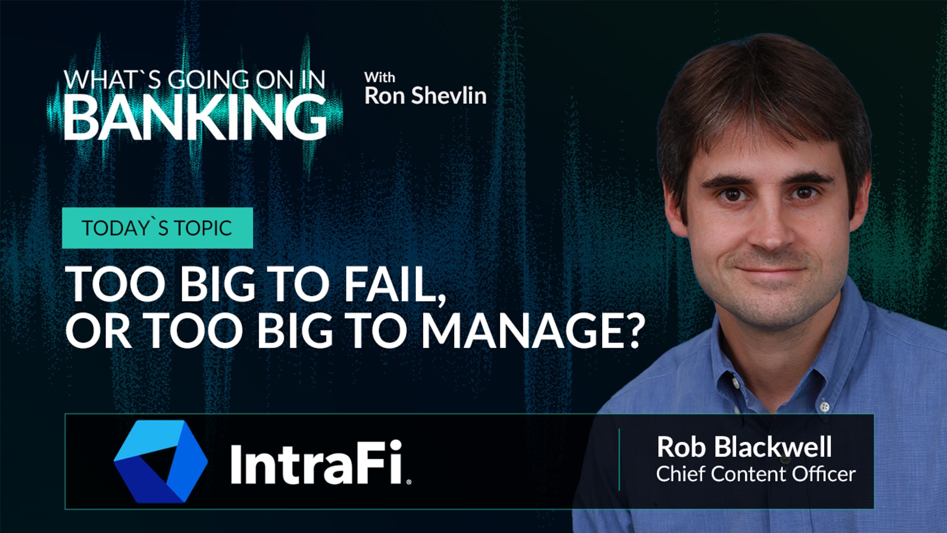 Too Big to Fail, or Too Big to Manage?