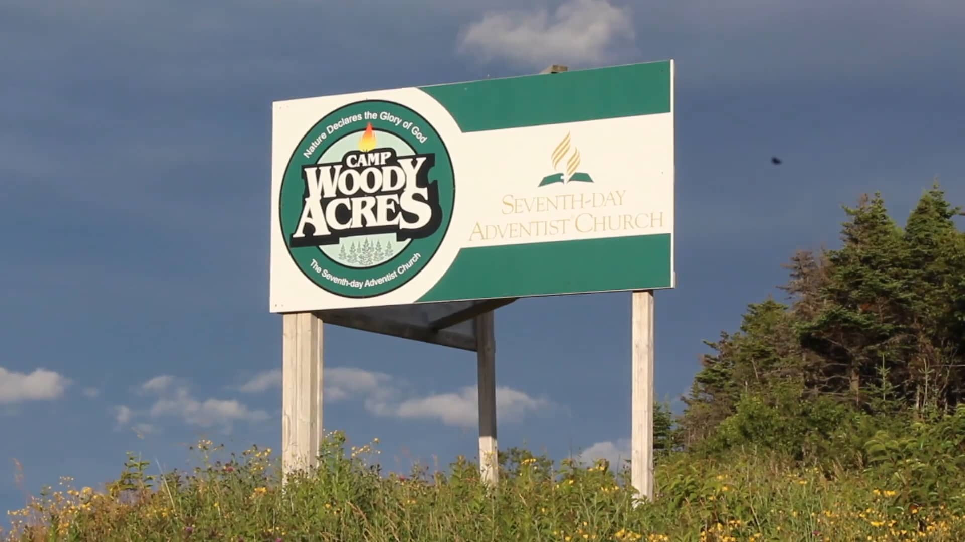 Camp Woody Acres Promo on Vimeo
