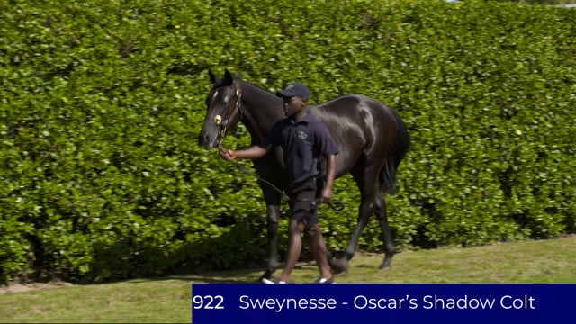Lot 922