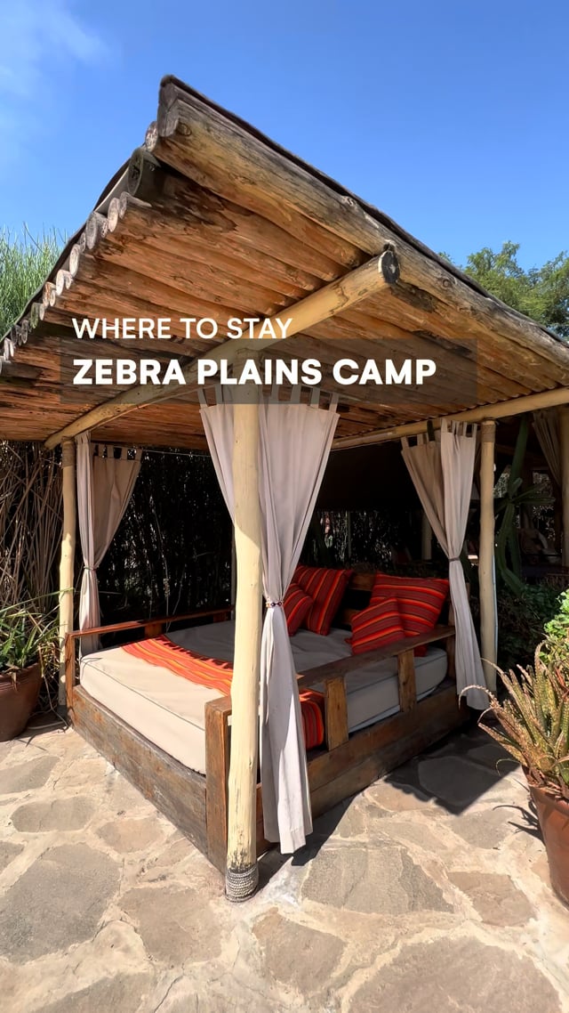 Zebra Plains Mara Camp
