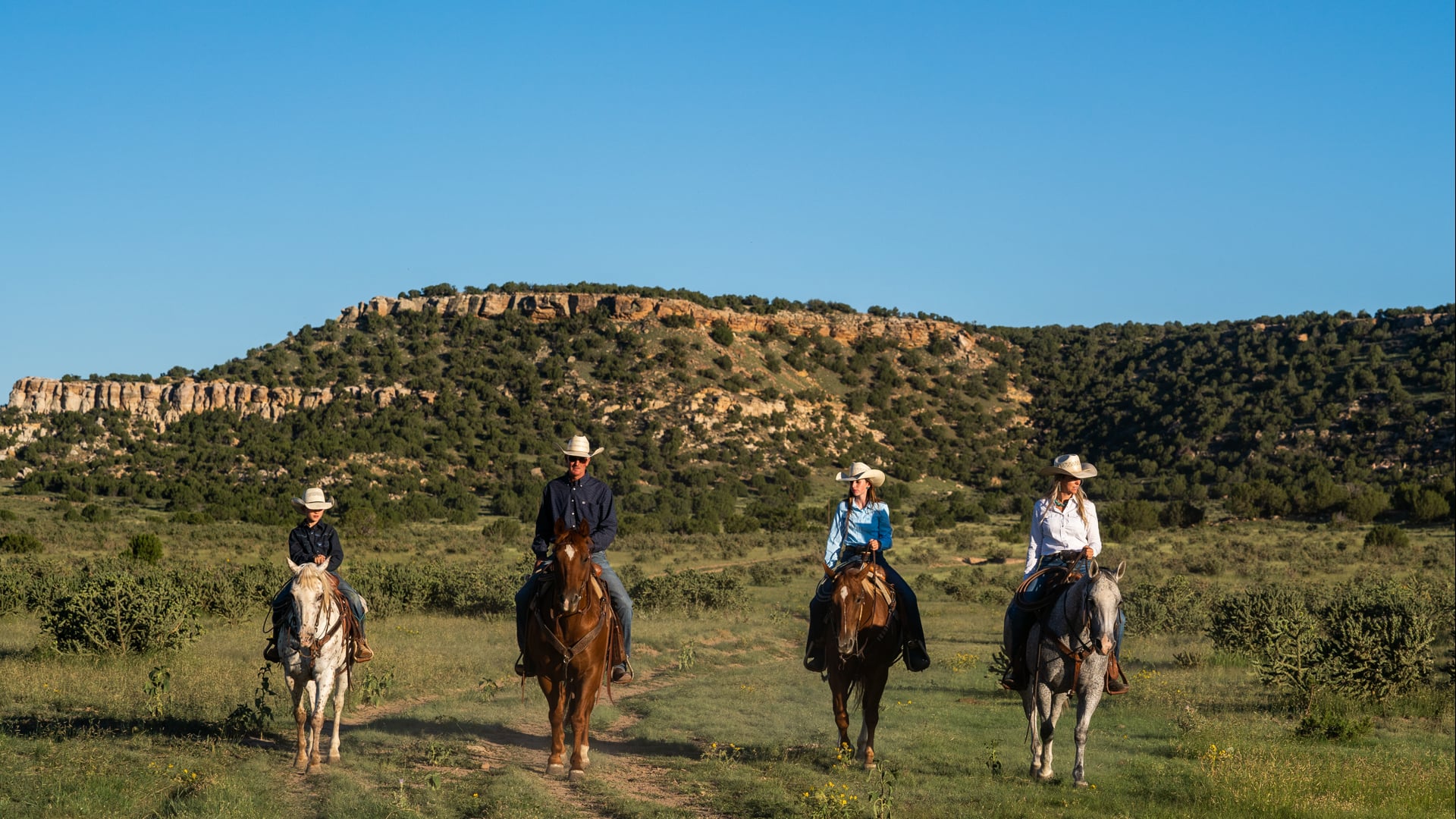 Our Story | Dreamer Horses