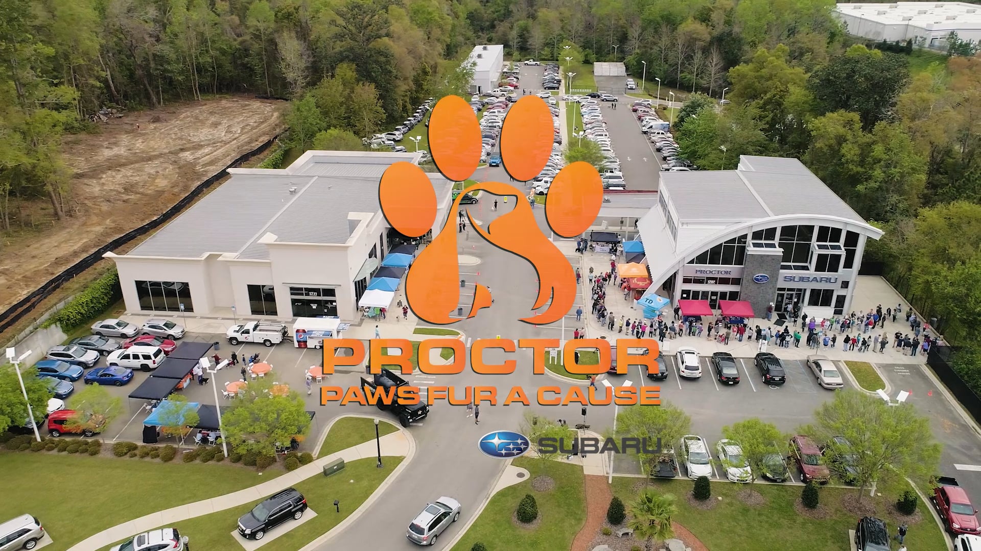 Proctor Subaru_Paws For a Cause Event Recap