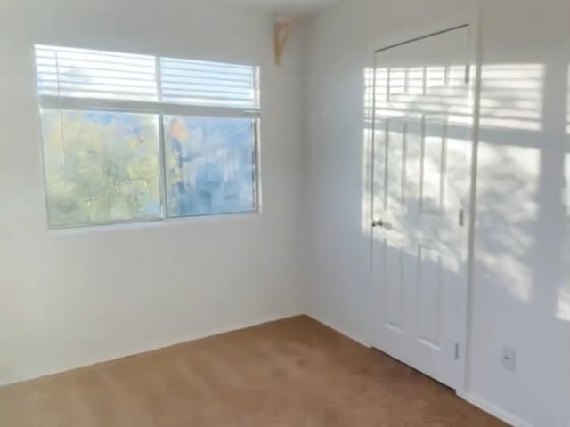$580 Sunny room with walk in closet  Main Photo