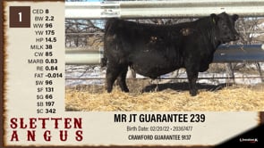 Lot #1 - MR JT GUARANTEE 239