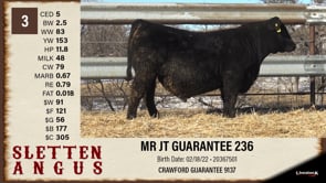 Lot #3 - MR JT GUARANTEE 236