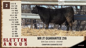 Lot #2 - MR JT GUARANTEE 216