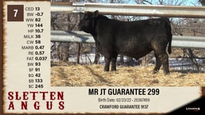 Lot #7 - MR JT GUARANTEE 299