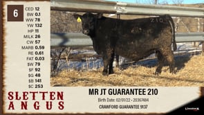 Lot #6 - MR JT GUARANTEE 210