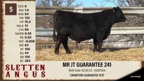 Lot #5 - MR JT GUARANTEE 241