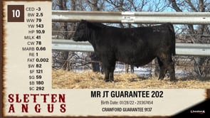 Lot #10 - MR JT GUARANTEE 202