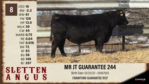 Lot #8 - MR JT GUARANTEE 244