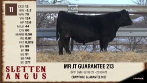 Lot #11 - MR JT GUARANTEE 213
