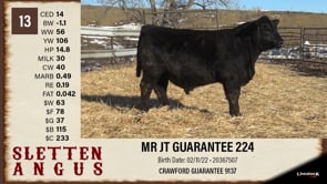 Lot #13 - MR JT GUARANTEE 224