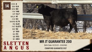 Lot #14 - MR JT GUARANTEE 200