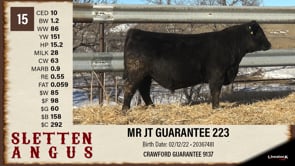 Lot #15 - MR JT GUARANTEE 223