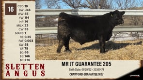 Lot #16 - MR JT GUARANTEE 205