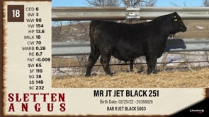 Lot #18 - MR JT JET BLACK 251