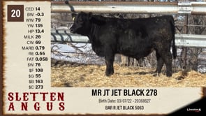 Lot #20 - MR JT JET BLACK 278