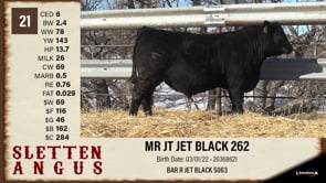 Lot #21 - MR JT JET BLACK 262