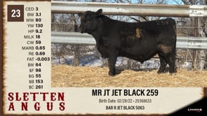 Lot #23 - MR JT JET BLACK 259